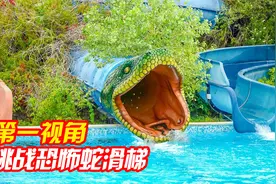 当熊猫挑战世界上恐怖的蟒蛇水上滑梯，第一视角带你去体验！视频封面