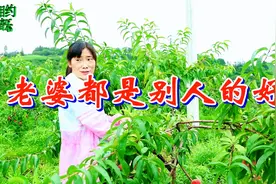 一首情歌《老婆都是别人的好》，唱得非常现实，超级好听！视频封面