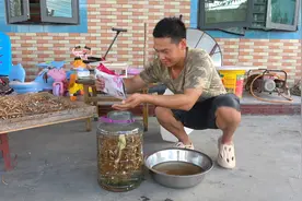 野生五指毛桃泡酒，阿琪这样清洗才正确做法简单易学，一起去看看视频封面