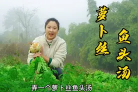 小向用萝卜煮鱼头汤，汤白如奶有技巧，做法简单还好喝视频封面