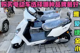 购买电动车，如果不选择雅迪和爱玛？到底选择哪种质量最好最耐用视频封面