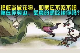 如果把蛇当宠物养大，它不吃不喝躺主人身边，真的是想吃掉主人？视频封面