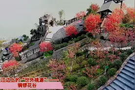 长江边上的“世外桃源”——铜锣花谷视频封面