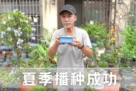 炎炎夏日播种成功，不会播种的看过来，包学包会的播种教程视频封面