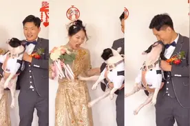 婚礼现场现爆笑一幕！宠物狗一脚踹开新娘 扭头向新郎要亲亲视频封面