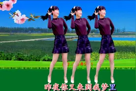 新学跳广场舞《昨夜你来我梦里》跳出思念，适合初学者，附分解视频封面