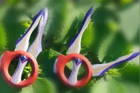 【造纸匠】听说是超古代神器？用纸制作特利迦奥特曼圆环之臂！视频封面