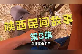 陕西咸阳哄孩子睡觉的50句顺口溜，大多数人没听过，一下回到童年视频封面