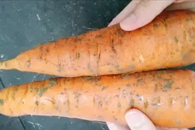 买胡萝卜，注意这几点，好的胡萝卜一挑一个准，水分多还新鲜视频封面