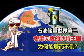 石油储量世界第二，奢靡无度的沙特王国，为何能壕而不倒？视频封面