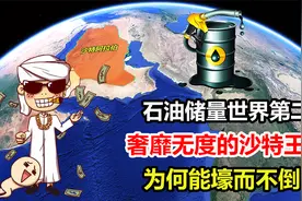 石油储量世界第二，奢靡无度的沙特王国，为何能壕而不倒？视频封面