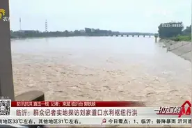 探访临沂刘家道口水利枢纽，管理部门积极应对，多措并举紧急泄洪