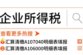 企业所得税汇算清缴A107040明细表填报视频封面
