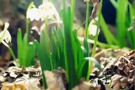 北京的四季分明，那您知道，四季都是怎样来划分的吗