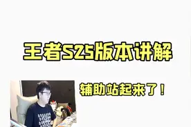 王者S25赛季大更新！辅助玩家站起来了，详细讲解拿捏新版本视频封面