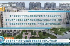 重磅！房票安置、购房补贴……南京溧水再推三项楼市新政视频封面