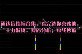 通达信指标合集，看完选你喜欢的，主力游资，筹码分析，短线抄底视频封面