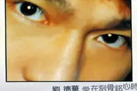 刘德华《男孩女孩》视频封面