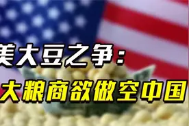 2003年中美大豆战争，四大粮商合伙做空中国，却“兵败”中储粮视频封面