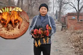 二姨给5只黑公鸡，大冬研制新做法“铁链吊炉烤鸡”，皮脆肉香视频封面