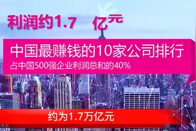 2020年中国最赚钱的10家公司排行，排名第一的企业每天赚8.5个亿视频封面