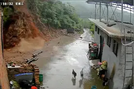 山体滑坡前狗狗拼命叫唤预警，主人刚离开泥土就倾泻而下视频封面