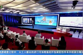 李稻葵谈武汉：五大“优势”六个 “中心”  武汉发展未来可期视频封面