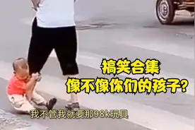 搞笑：我家的哈士奇天天跑去找隔壁的萨摩耶玩，我怀疑他们谈恋爱视频封面