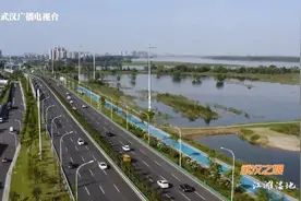武汉之眼 | 江滩湿地视频封面