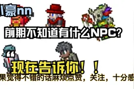 【泰拉瑞亚】前期NPC介绍大全以及入住条件视频封面