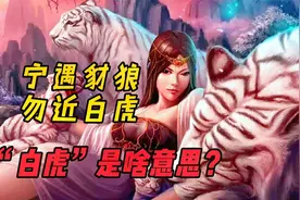 俗话说“宁遇豺狼，勿近白虎”，豺狼和白虎指什么？是真的吗？视频封面