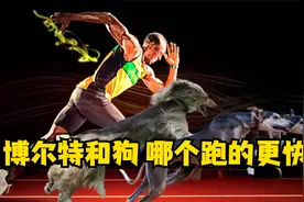 人类速度天花板博尔特，与四条腿的狗相比，哪个跑的更快呢？视频封面