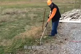 “硬核”灭鼠，只听“砰”的一声巨响，直接一网打尽视频封面