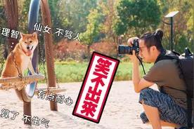 拍照狂魔主人，教大家如何给宠物拍大片，柴犬：问过我意见吗？视频封面