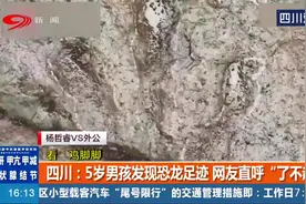 四川：厉害！5岁男孩发现1.3亿年前恐龙足迹 网友直呼“了不起”视频封面