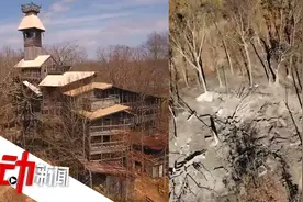 世界最大树屋15分钟烧没了！12年建成，高约30米，在7棵树里视频封面