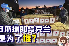 日本援助乌克兰其实违法了？日本内阁：啊对对对视频封面