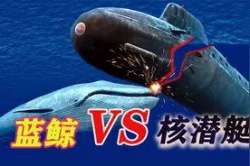 如果潜艇遭到鲸鱼偷袭，会不会被撞沉？视频封面