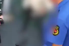 男子夜市卖猫遇城管执法愤怒摔猫 事后发视频道歉，官方通报来了视频封面