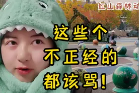 南京红山动物园的顶流 这些不正经的动物们都该骂视频封面