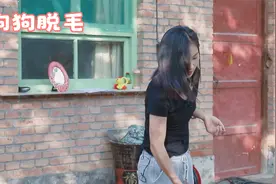 秋天到了，你家的狗狗开始脱毛了吗？狗狗脱毛该怎么去呵护呢视频封面