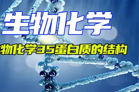 生物化学35蛋白质的结构视频封面