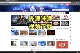 bilibili哔哩哔哩，视频解析下载视频封面