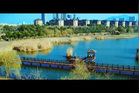 二月春风似剪刀--贺知章诗视频封面