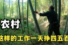 农村这样的工作一天可以挣四五百块，随便月入过万，大哥带你看看视频封面