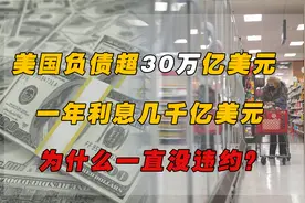 美国负债超30万亿美元，一年利息几千亿美元，为什么一直没违约？视频封面