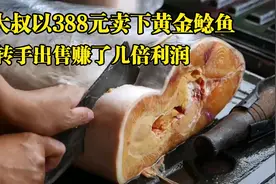 大叔花388元买巨型鲶鱼，切开肉都是金黄色，转手一片卖200赚大了视频封面