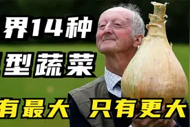 盘点，14种全球最大的水果和蔬菜，一颗可以吃半年的那种视频封面