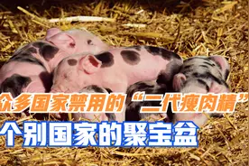 为什么美国等发达国家，还在使用“二代瘦肉精”——莱克多巴胺？视频封面