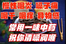 慢性咽炎、嗓子痛、咽喉异物感，常用一味中药，助你清嗓润喉视频封面